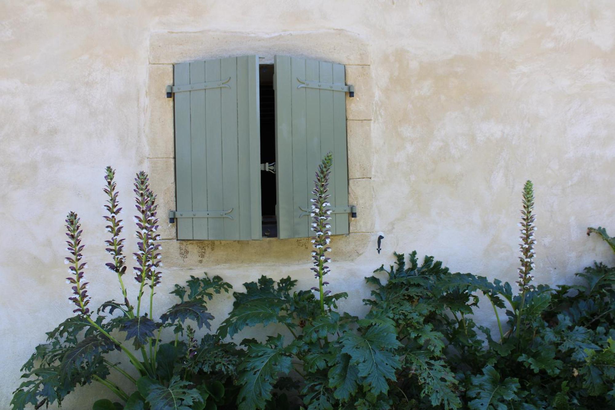 Ecogite Rural La Cle Des Champs Peyrelongue-Abos Номер фото