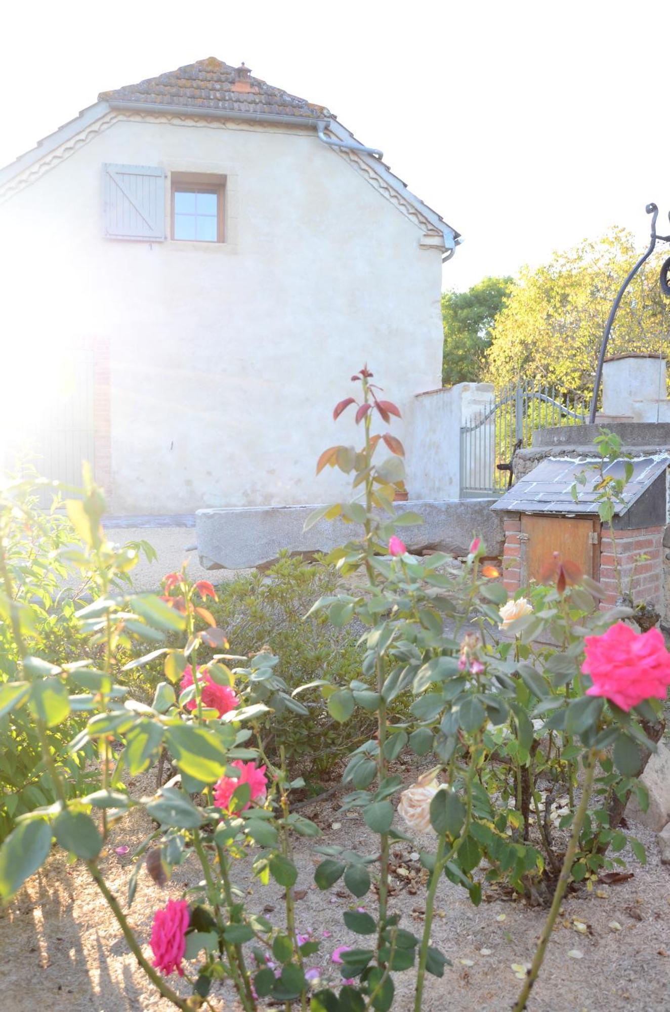 Ecogite Rural La Cle Des Champs Peyrelongue-Abos Номер фото