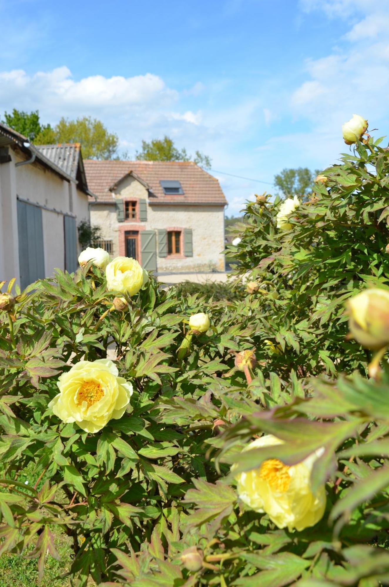 Ecogite Rural La Cle Des Champs Peyrelongue-Abos Екстер'єр фото