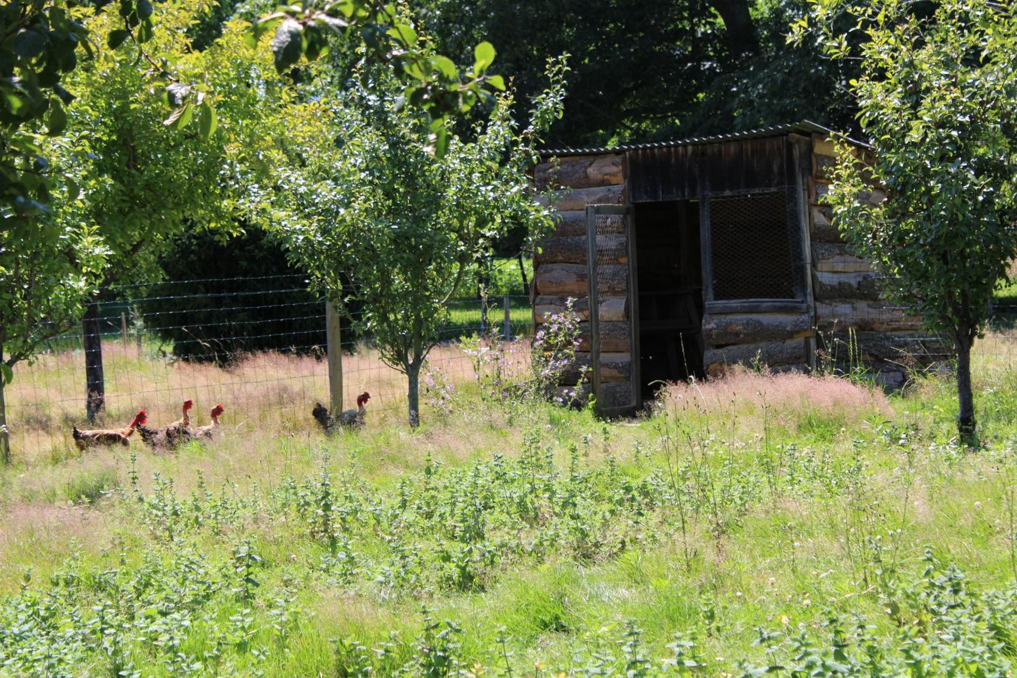 Ecogite Rural La Cle Des Champs Peyrelongue-Abos Номер фото